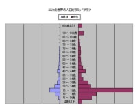 2차원 세계의 인구 피라미드
