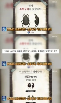 찾으면 한 마리당 100만 원