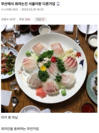 부산에서 회라는건 서울이랑 다른거임