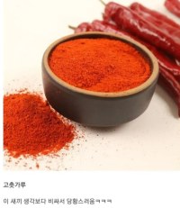 초보 자취생들 공감