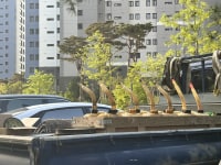 맛조개~ㅁㅈㄱ… 팝니다~ㅍㄴㄷ..