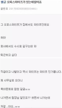 엠팍의 오피스 와이프 썰