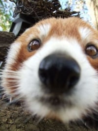 옵지 듀오 찾다보면