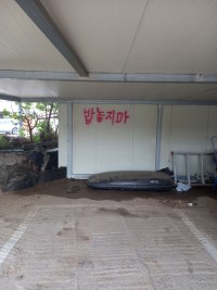 아니 ㅋㅋ 이 동네에 길고양이가 많은데