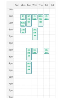여름학기 시작!
