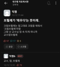 브륄래가 태우다라는 뜻이래