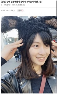 일본인이 부럽다는 디씨인