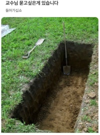 교수님 묻고싶은게 있습니다