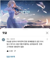 좋아요 2.5만개 달린 유튜브 댓글