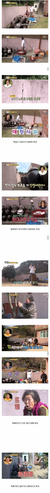 집안 살림 다 때려부수는 사위