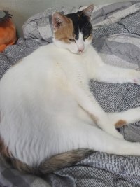 나도 동물 사진 올려야지 히히