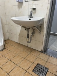 실시간 옵붕이 화장실