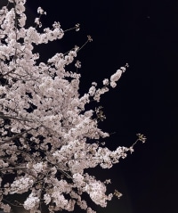 곧 겨울이긴 한데