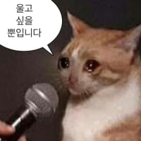 5판 해서 5판 다 봇이 터져서 지면