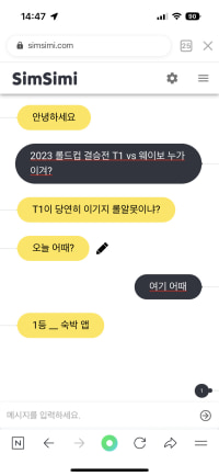 심심이한테 혼났다… (결승 예상)