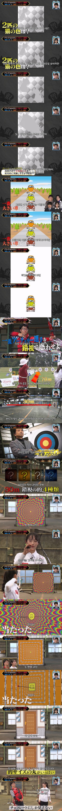 양궁 선수 vs 착시 과녁