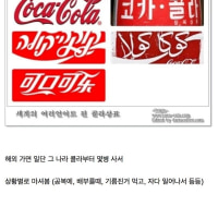 콜라에 미친 사람의 나라별 콜라 후기