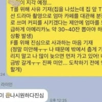 T와 F 모두를 만족한 사과