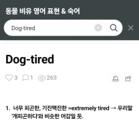 개피곤하다가 영어로