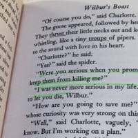 나 고딩때 영어쌤 무뚝뚝 할배쌤이었는데