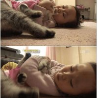 고양이 이름이 엔젤인 이유