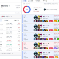 다이아 주차 성공~