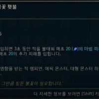 이거 개사기템 같음