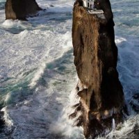 연봉 1억6천 직업 한다 vs 안한다