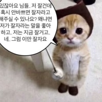 ㅂㅂ⁰▿⁰