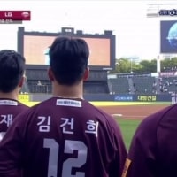 이거보고 개웃었네