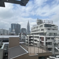 일본 유학 4달째 후기 및 관련 썰