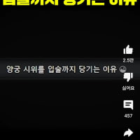 요즘 쇼츠 특