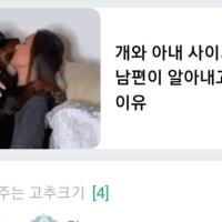 옵지야 다 좋은데 이런건 좀 막자......