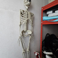 할거 끝나서 원하던거 샀다