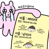 💖💖💖신생 롤 3040 만남의 광장 롤린이&고수 구하는중 💖💖💖