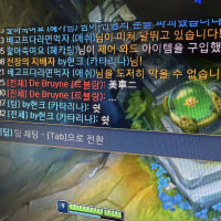 중국어 할줄아는 붕이 얘 뭐라는거냐