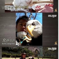 가장 미국스러운 동물 1위