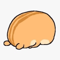 시험 끝나서 일찍 자려했는데