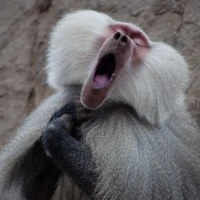 와 찾고싶었던 노래 찾았다