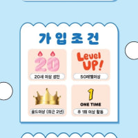 [신생방/자랭/듀랭] 신생 폴라리스 클랜에서 친해질 초창기 클랜원 모집합니다