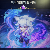 정지 풀리자마자 샀는데