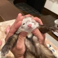그 저격먹은적도 있는