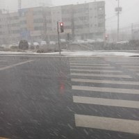살려다오