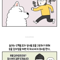강아지가 산책하러 가는지 구분하는 방법