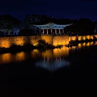 그저그저 너무나도 평범한 사진들