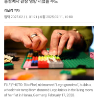 LEGO is a queer toy?!?