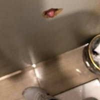 이해하면 무서운짤