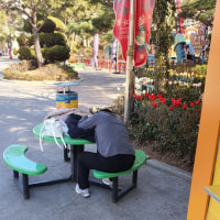 실장님은 쓰러지지 않아! (경주월드편)