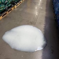 옵붕이들 보면 나 이렇게 되어버려..