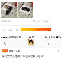 Cool share~ Chinese fake piglet raising pics